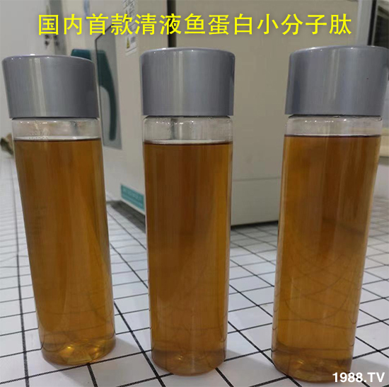 國內(nèi)清液魚蛋白小分子肽