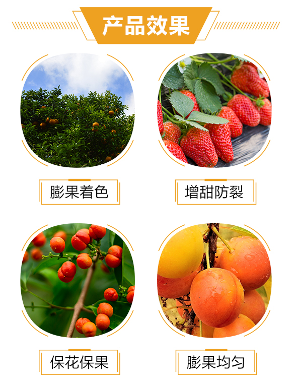 護(hù)果國(guó)際2_03