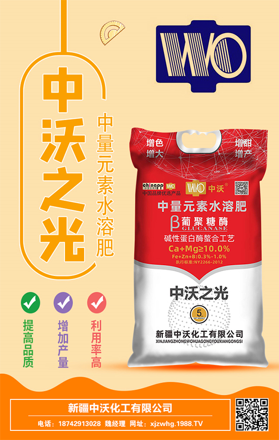 ���ֻ����m(x��)�s1988.TV���y���r���W�ل�(chu��ng)���x����