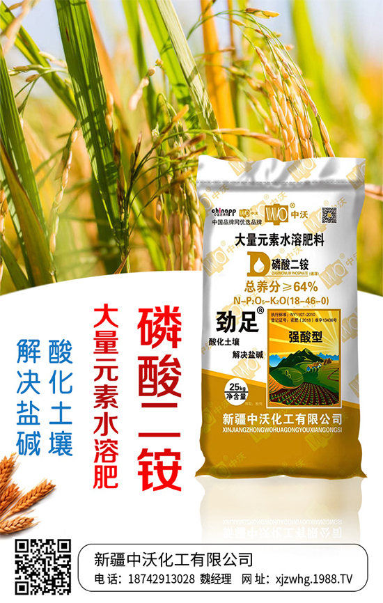 ���ֻ����m(x��)�s1988.TV���y���r���W�ل�(chu��ng)���x����