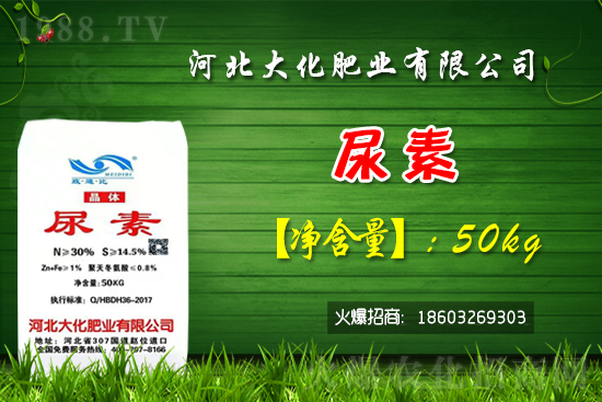 紅香蜜葡萄苗多少錢一棵？種植前景如何？