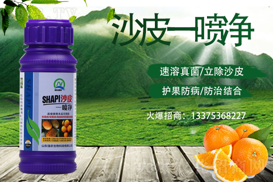 柑橘變成“麻子臉”！這些病害要小心