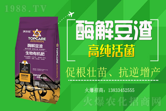 紫蘇種植怎樣管理？紫蘇田間除草及施肥技術(shù)！