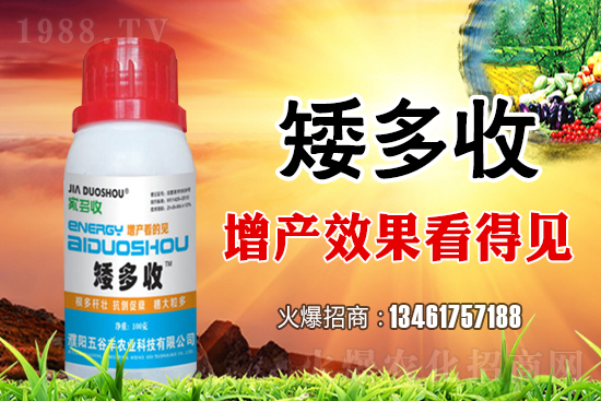 �r(n��ng)���W(w��ng)���s