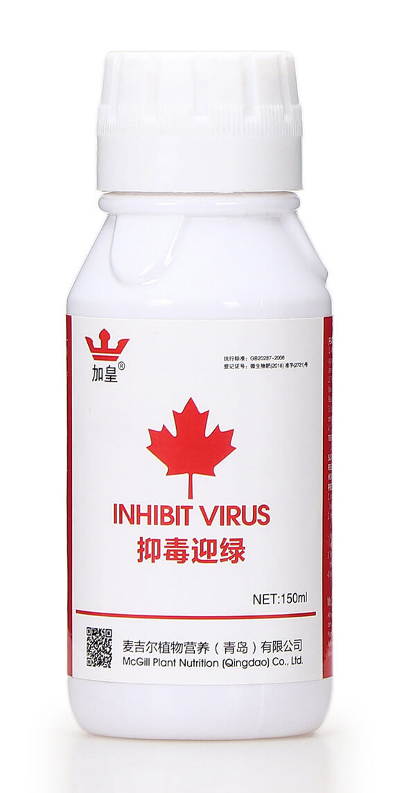 抑毒迎綠（專治病毒?。?綠肥5