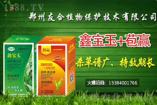 2021.5.15�����݄��r(ji��)������