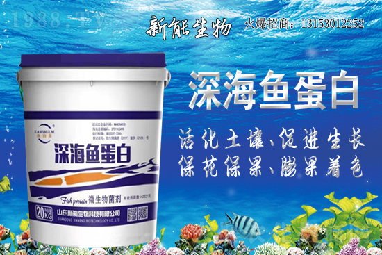 ����ף�R���������ٺ�1988.TV���_���W(w��ng)�j(lu��)������ģʽ��