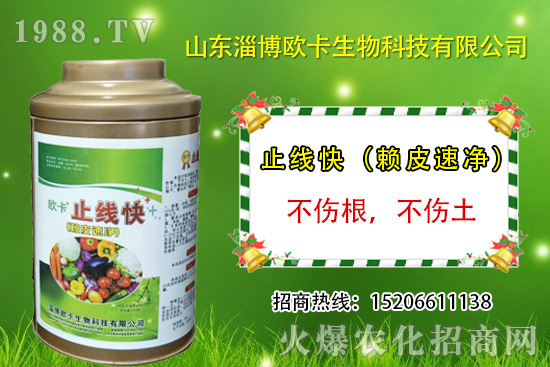 歐卡生物再簽1988.TV，力求實(shí)現(xiàn)企業(yè)騰飛夢(mèng)！