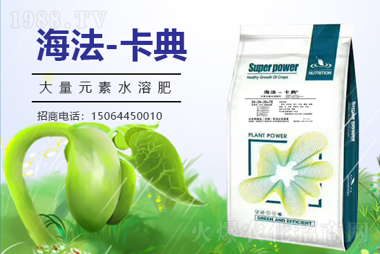 �r(n��ng)���W(w��ng)ϲӭ���������y���Z��˹����ؔ��֮·��