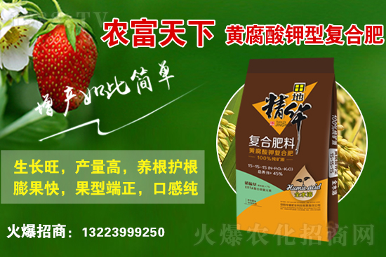 復(fù)合肥市場行情分析，2021年6月10日化肥行情走勢：
