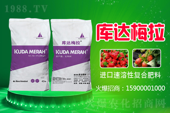 �t���Ǐ�(f��)�Ϸʶ����Xһ����2021.6.16���ʃr(ji��)�������(b��o)�r(ji��)