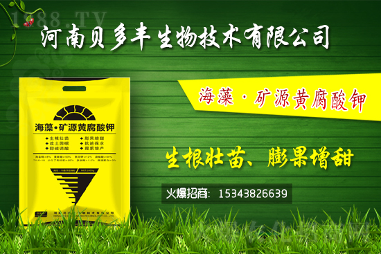 果樹黃化的原因是缺鐵嗎？果樹黃化噴施硫酸亞鐵怎么樣？