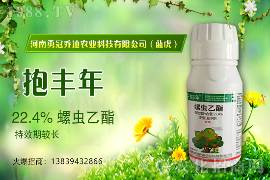 合作升級，勇冠喬迪（藍虎）再簽1988.TV，共創(chuàng)新輝煌！