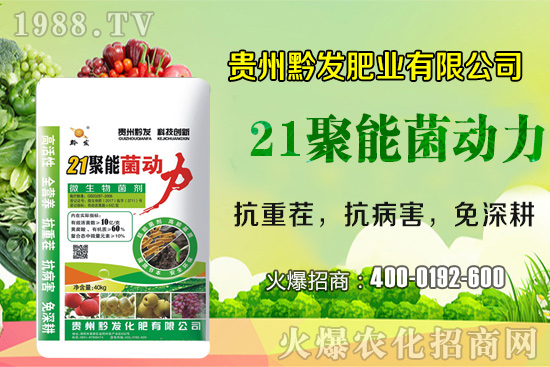 黔發(fā)肥業(yè)再度攜手1988.TV，攜手打造招商奇跡！