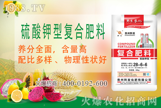 黔發(fā)肥業(yè)再度攜手1988.TV，攜手打造招商奇跡！