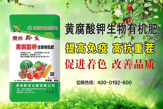 黔發(fā)肥業(yè)再度攜手1988.TV，攜手打造招商奇跡！