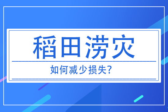 稻田澇災發(fā)生后，如何減少損失？