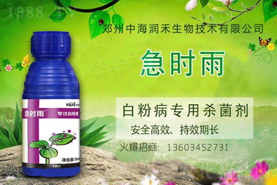     �к������ٺ����r(n��ng)�����̾W(w��ng)�����M��(zh��n)�Ժ�����������