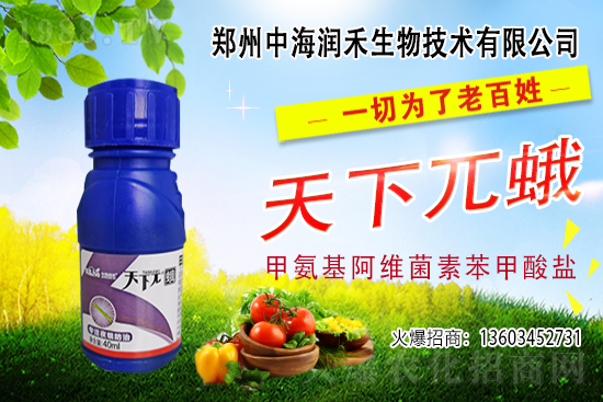     �к������ٺ����r(n��ng)�����̾W(w��ng)�����M��(zh��n)�Ժ�����������