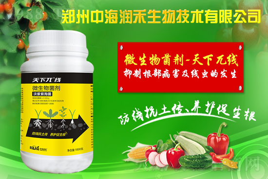     �к������ٺ����r(n��ng)�����̾W(w��ng)�����M��(zh��n)�Ժ�����������