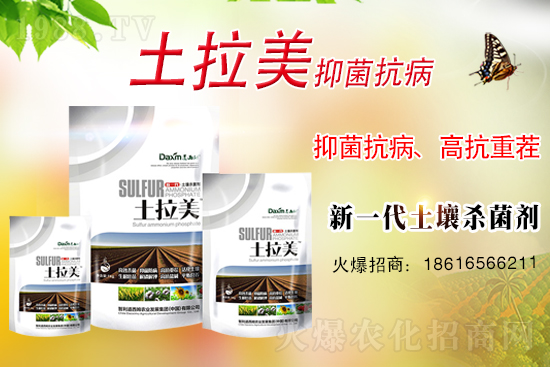 智利道西姆再簽1988.TV，開(kāi)啟網(wǎng)絡(luò)招商新模式！