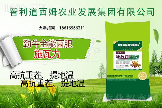 智利道西姆再簽1988.TV，開(kāi)啟網(wǎng)絡(luò)招商新模式！