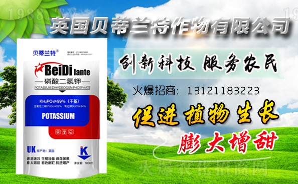 Ӣ��ؐ���m���ٺ�1988.TV�����\�������p�A��