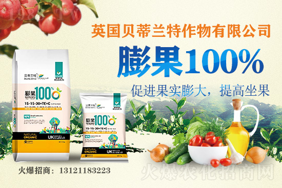 Ӣ��ؐ���m���ٺ�1988.TV�����\�������p�A��