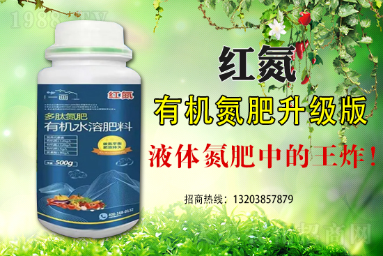 玉米為什么會(huì)出現(xiàn)早衰這種現(xiàn)象？如何避免玉米早衰？