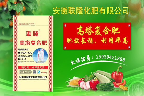 �����P(gu��n)ϵ�����A��(li��n)¡�����m(x��)�s1988.TV�����\�����°l(f��)չ��