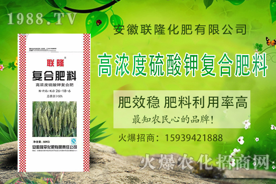 �����P(gu��n)ϵ�����A��(li��n)¡�����m(x��)�s1988.TV�����\�����°l(f��)չ��