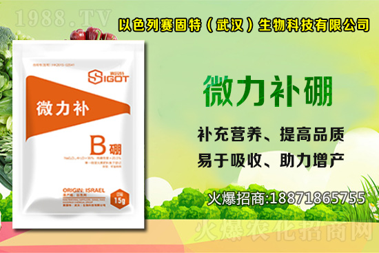 ��ɫ��ِ�����ٶȔy��1988.TV���y�ֹ���(chu��ng)��(zh��n)��(j��)���ل�(chu��ng)�x����