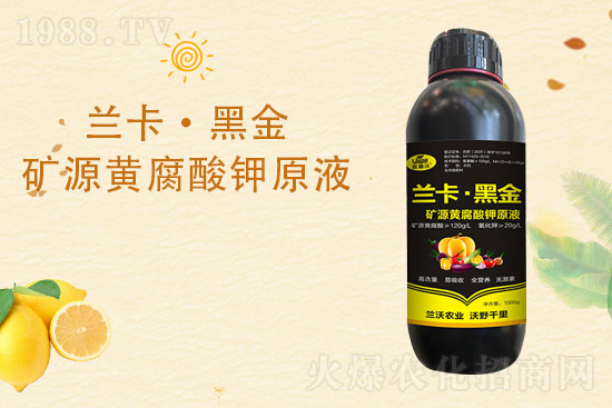 柑橘黃葉是什么原因造成的？柑橘黃葉的解決措施