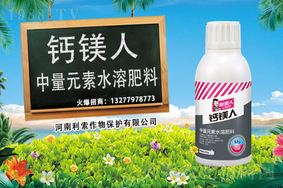 ��ռ�̙C���������A�����������y���r(n��ng)���W(w��ng)�ل�(chu��ng)���x����