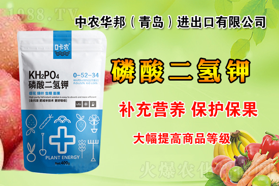 ���r(n��ng)���W(w��ng)ϲӭ�����������r(n��ng)�A�(qi��ng)�݁��u��