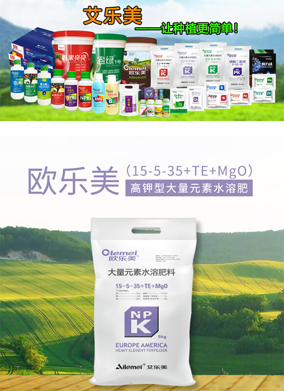 大量元素水溶肥料15-5-35+TE+MgO-歐樂美-艾樂美_01