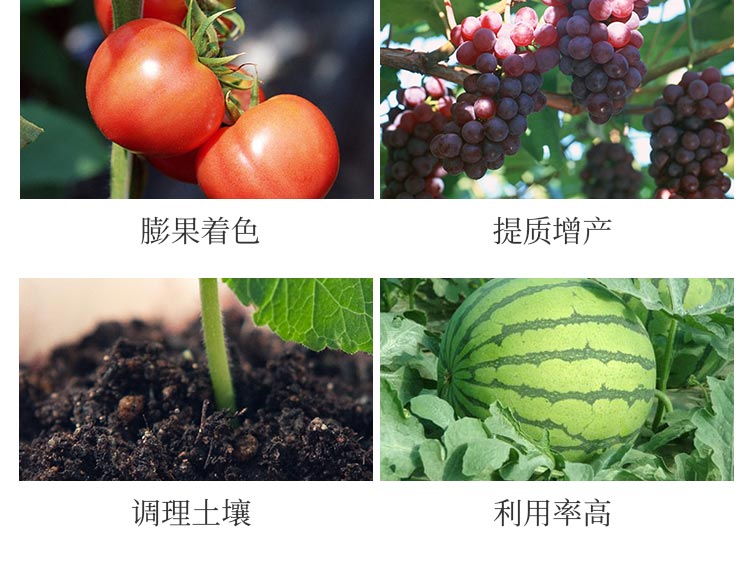 濰坊藍(lán)海生物科技有限公司1_05