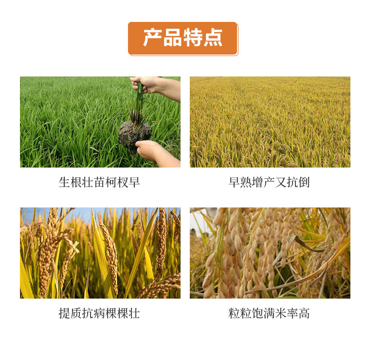 C-_Users_1988_Desktop_山西中農(nóng)化生物技術(shù)股份有限公司_03