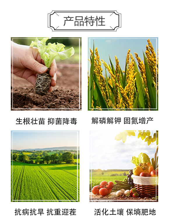 一畫(huà)-微生物菌劑2_03