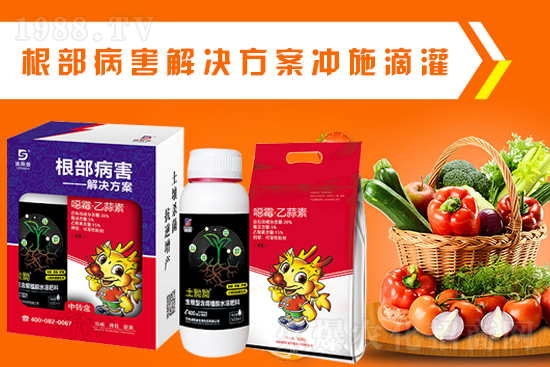 ����˹�����o��Ұ�������ף���2022�껢������H�Қg��(l��)������(ji��)�옷(l��)��