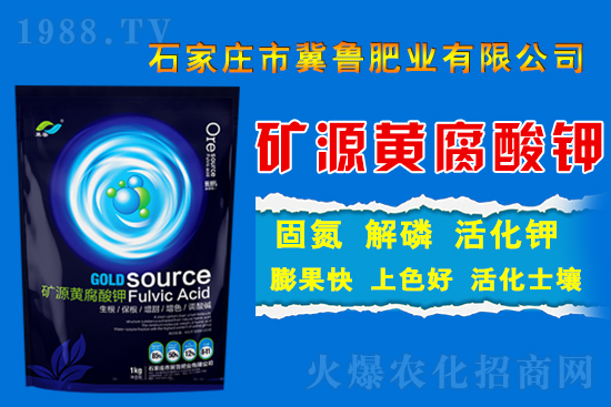 �������ʘI(y��)��ף��������������������2022�������