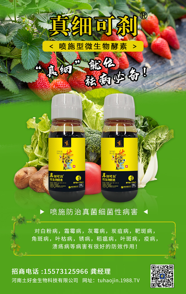 ���������ý�ףȫ���r(n��ng)�Y��(j��ng)�N�����т�2022����옷�������d¡���f�����⣡