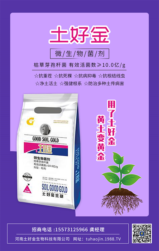 ���������ý�ףȫ���r(n��ng)�Y��(j��ng)�N�����т�2022����옷�������d¡���f��������