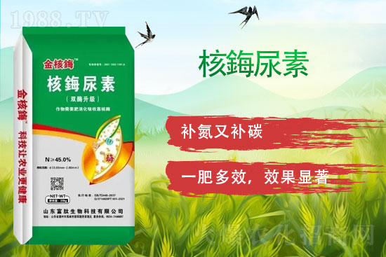 ���ڿ�����ø��ף���т�����옷�����w������ǰ�����\���������M��