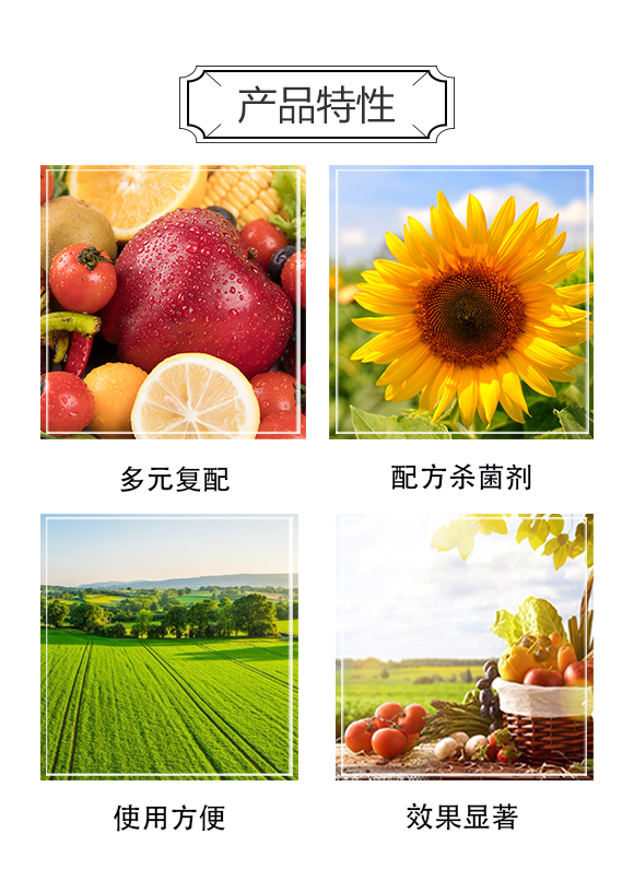 中農(nóng)華邦（青島）進出口有限公司2_04