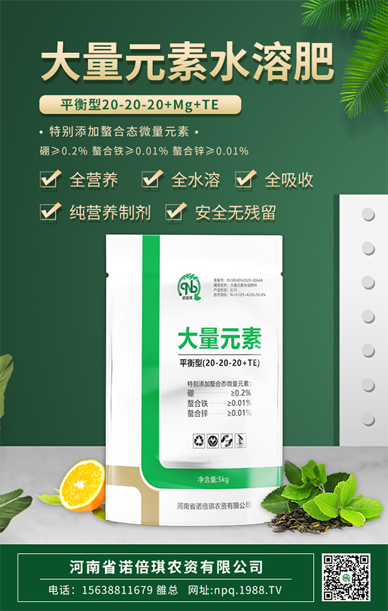 ���Z�����r(n��ng)�Y��ף������µ�һ�����I(y��)�г������\(y��n)�o����