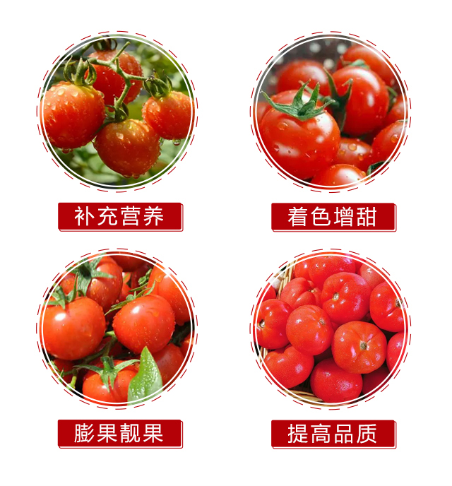 有機水溶肥料-馥紅-沃爾優(yōu)_05