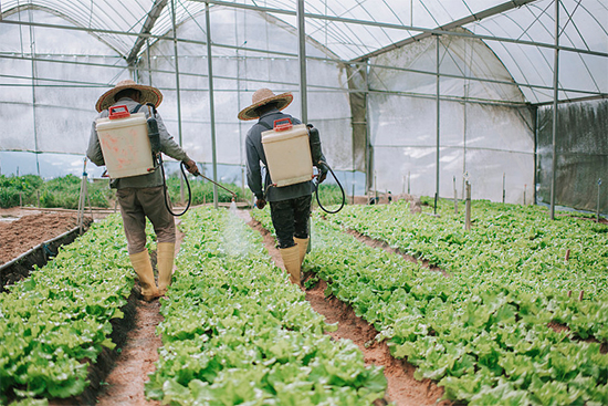 �ذ������ߌóɶ��N�I(y��)���[�����n11��18��