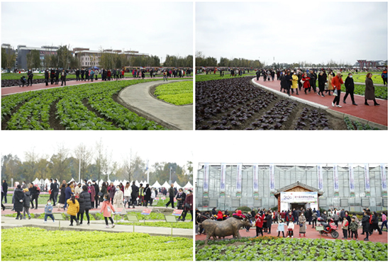 �ذ������ߌóɶ��N�I(y��)���[�����n11��18��