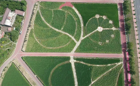 �ذ������ߌóɶ��N�I(y��)���[�����n11��18��